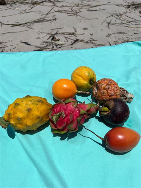 Mid June Harvest Update 🌈 Miami Fruit