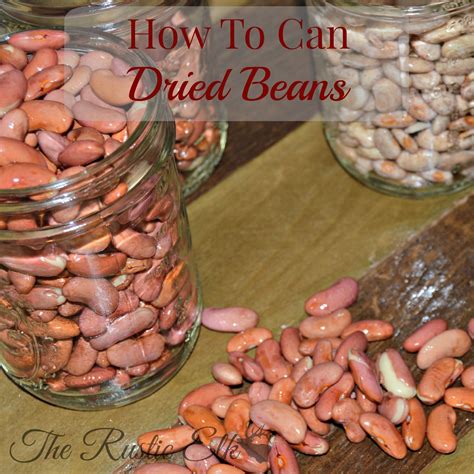 how to pressure can dried beans recipe dried beans cooking dried beans beans