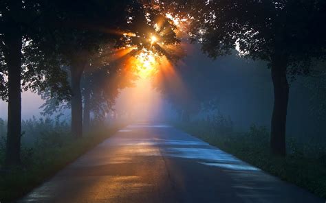 road, Sunlight, Trees, Sunrise, Sunset, Fog, Rays Wallpapers HD ...