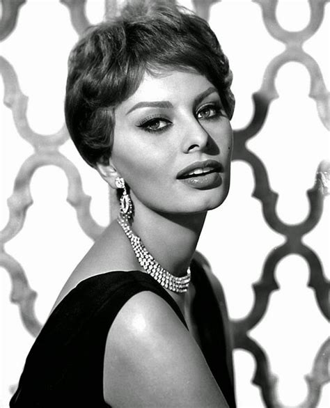 The Best Films Of Sophia Loren 4 Star Films