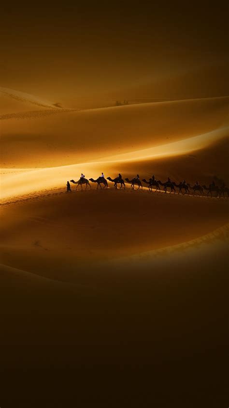 Desert Sunset Riders Camels Travel Android Wallpaper Free