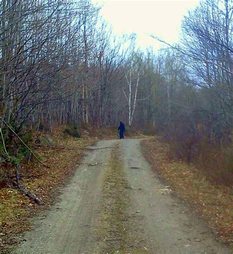 Bigfoot Photos And Reports From Maine The Crypto Crew