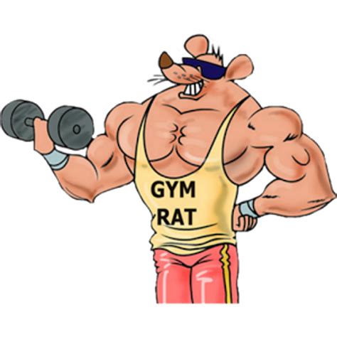 The New Gym Rat
