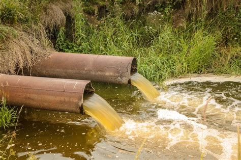 How To Clean Up Sewage Water