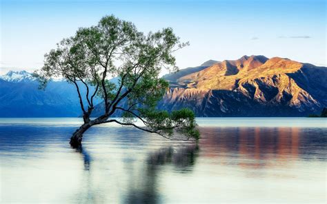Lake Wanaka Beautiful Reflection New Zealand Wallpaper New Zealand