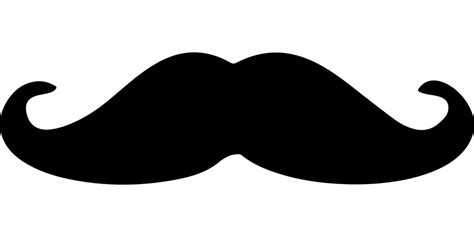 Disguise Mustache Beard · Free vector graphic on Pixabay