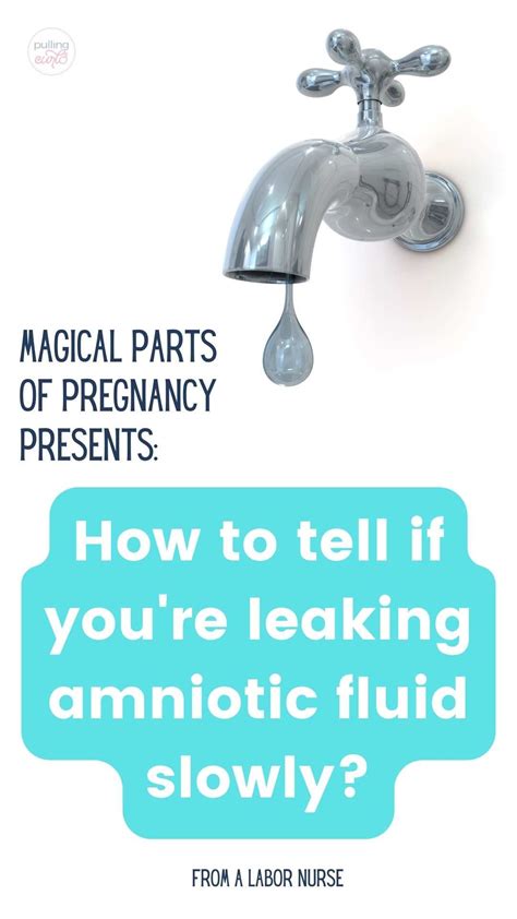 Worried About Amniotic Fluid Leaking During Pregnancy Learn How To