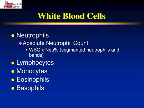 Ppt Practical Utilization Of The Complete Blood Count Powerpoint