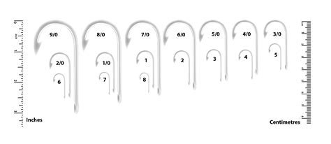 A Guide To Fishing Hook Sizes And Types