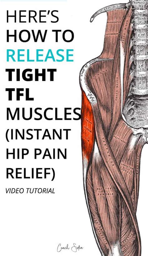 When your hip flexor muscles tighten up it causes the spine to become unstable which leads to chronic pain in your back. Effective TFL Release Technique For Tight Hips - Coach ...