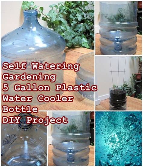 Self Watering Gardening Gallon Plastic Water Cooler Bottle Diy