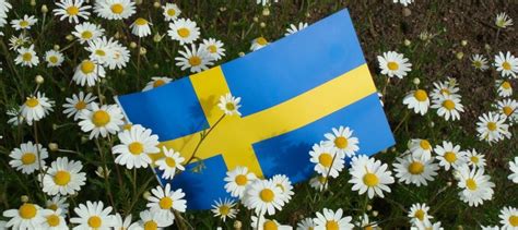 See a recent post on tumblr from @hrhprincesssofia about nationaldagen. Special events in Sweden on Nationaldagen, 6/6 | parkrun ...