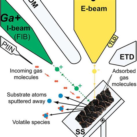 Schematic Diagram Of The Fib Sem Device And Its Operating Mode