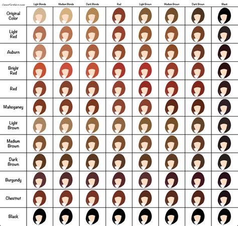 Henna Hair Dye Color Chart Hair Dye Color Chart Hair Chart Hair Dye