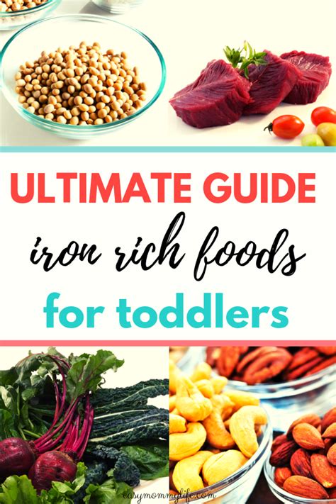 The Ultimate Guide To Iron Rich Foods For Toddlers Easy Mommy Life