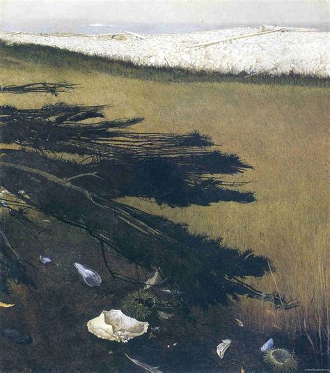 Wyeth Paintings Andrew Wyeth Paintings Ravens Grove Landscape