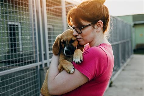 The 7 Best Pet Adoption Agencies Of 2021 Pet Adoption Dog Care