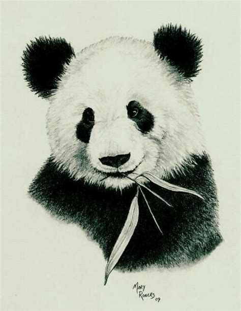 Oso Dibujo A Lapiz Cómo Dibujar Un Oso Panda Kawaii Comodibujarclub