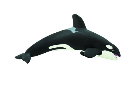 Buy Safari Ltd Killer Whale Orca Figurine Lifelike 66 Plastic