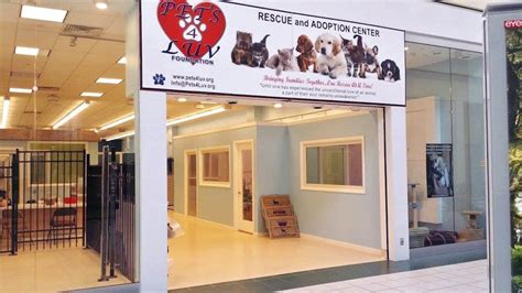 It is important that you visit the center and spend some time with the animal that you are thinking about adopting. Pet Rescue Center Coming To Source Mall | The Westbury Times