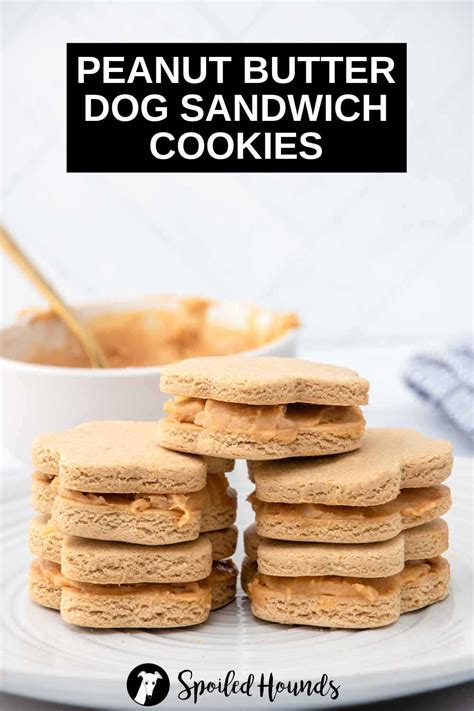 Easy Peanut Butter Dog Sandwich Cookies Spoiled Hounds