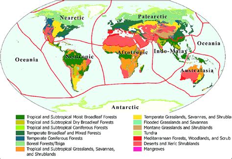 The Ecoregions Are Categorized Within 14 Biomes And Eight Biogeographic