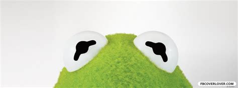 Kermit The Frog Facebook Cover