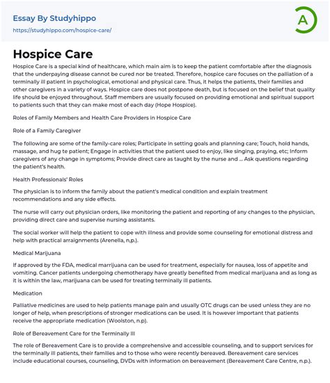 Hospice Care Essay Example
