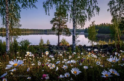 Aamusumun Hälvettyä Beautiful Morning Beautiful Places Finland Summer