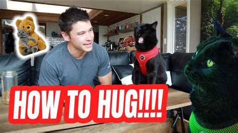 How to make my cat sit still? TEACH YOUR CAT HOW TO HUG #1 - YouTube