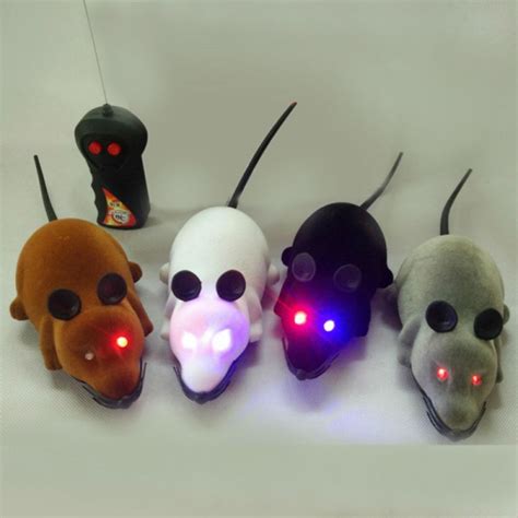 If you are a cat owner, you may worry about your feline's health, especially if they tend be a little lazy. The Most Exciting, Fun And Mentally Stimulating Cat Toys ...