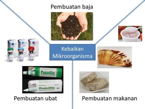 Kebaikan Mikroorganisma
