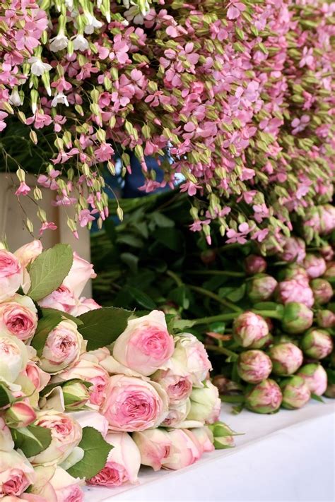 Pink Roses And Pink Peonies At A Parisian Market Paris With Landen Paris Flowers Pink