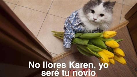 Feliz Día Del Gato Los Memes De Karen Y Las Anvorguesas Lo Saben