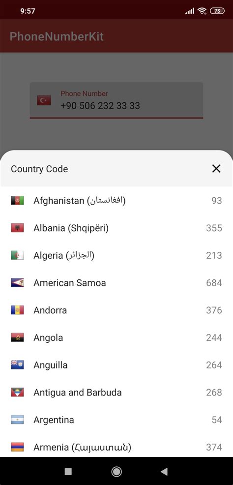 Intl Country Codes
