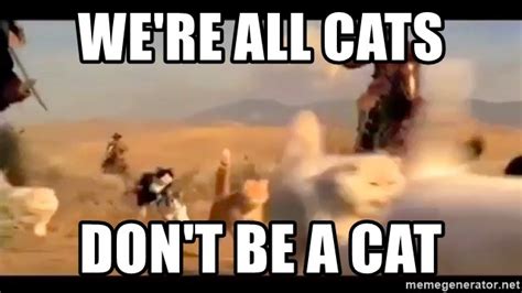 Were All Cats Dont Be A Cat Herding Cats Meme Generator