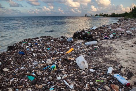 Ocean Plastics — As You Sow