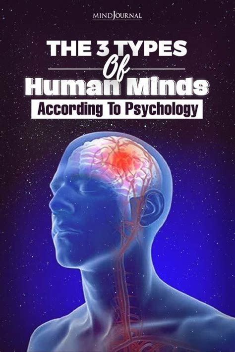 According To Experts There Are Three Types Of Human Minds And Each Of