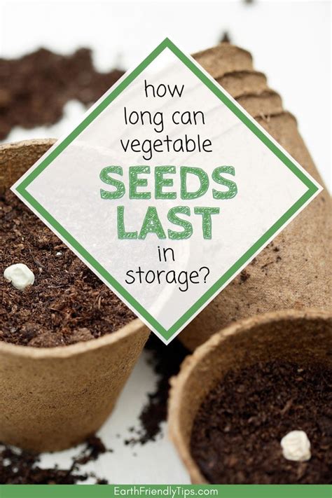 How Long Do Seeds Last Earth Friendly Tips Vegetable Seed Seeds