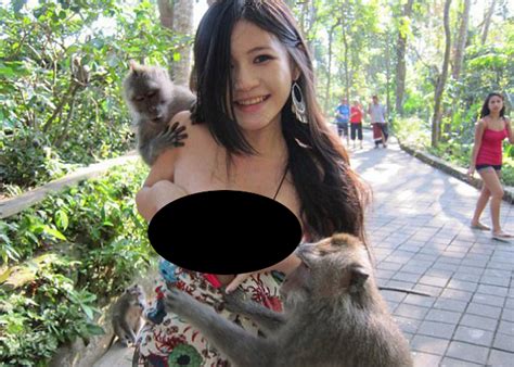 Monyet Nyaris Menelanjangi Model Asal Taiwan Saat Berlibur Di Bali