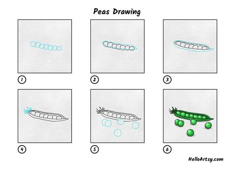 Peas Drawing Helloartsy