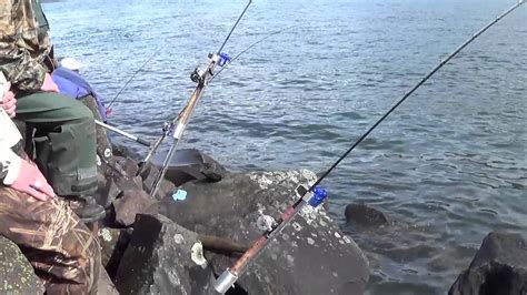 Here is a simple video on how to make a diy simple fishing rod holder. Bank Station - Bank Fishing Rod Holder - Sand Spike - Surf ...