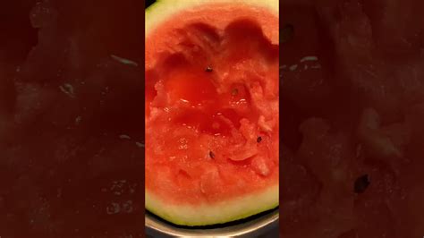 Dwdelicious Watermelon Official Video Youtube