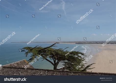 Conifer Tree Overlooking Sandy Beach Porthkidney Stock Photo 1538207696