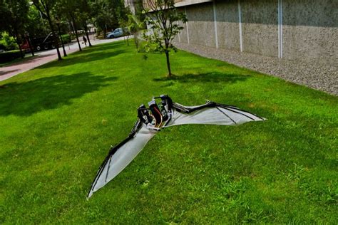 Un Robot Volant Inspiré Par Les Chauves Souris
