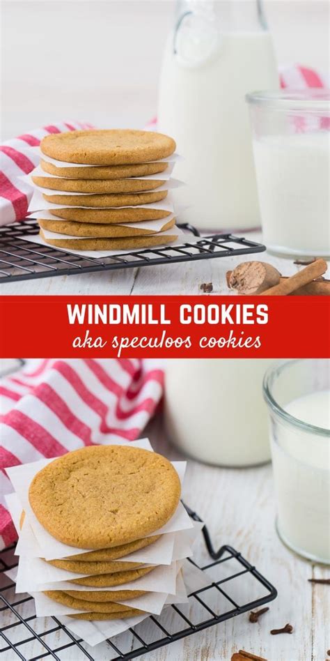 What are your favorite christmas cookies?? Windmill Cookies aka Speculoos Cookies (nut free option ...