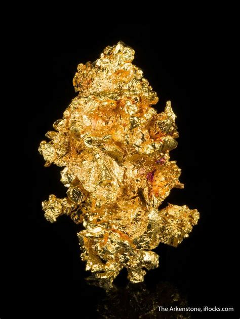 Gold Mau 01 Recorder Claim Usa Mineral Specimen