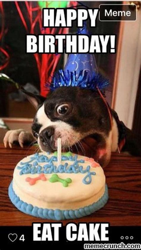101 Funny Happy Birthday Dog Memes For Paw Lovers Everywhere Birthday