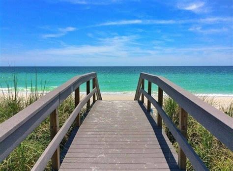 Pass a grille beach escape. Escape the polar vortex and warm up in Tampa Bay - GayCities