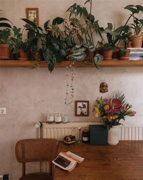 Plant Filled Open Shelf In Theos Berlin Apartment Via Instagram